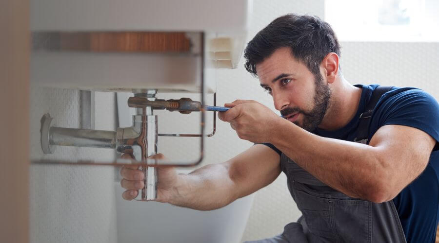 Trap Repair/Replacement in Alvord, IA